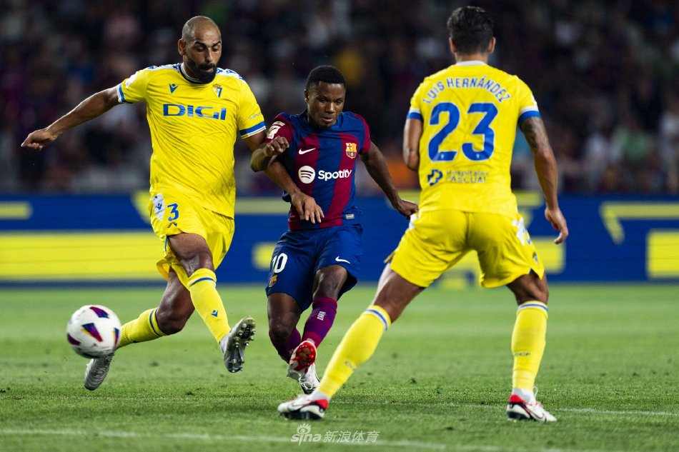 团队建设 团队建设